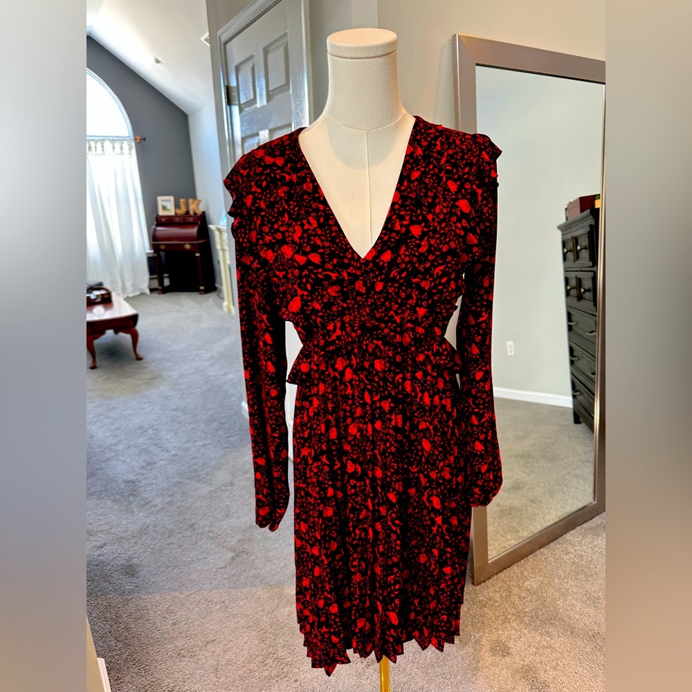 Express long sleeve pleated dress